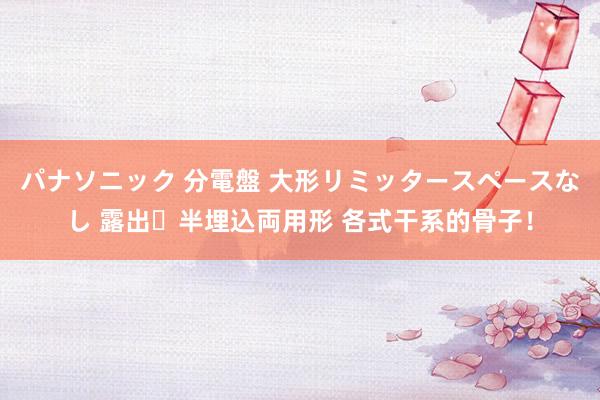 パナソニック 分電盤 大形リミッタースペースなし 露出・半埋込両用形 各式干系的骨子！