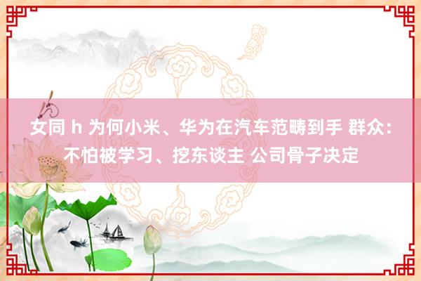 女同 h 为何小米、华为在汽车范畴到手 群众：不怕被学习、挖东谈主 公司骨子决定