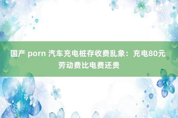 国产 porn 汽车充电桩存收费乱象：充电80元 劳动费比电费还贵