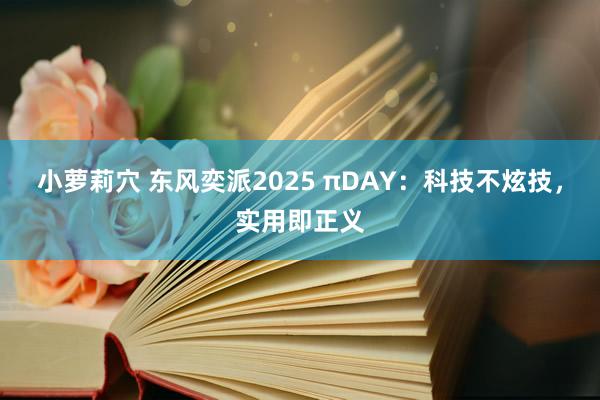 小萝莉穴 东风奕派2025 πDAY：科技不炫技，实用即正义