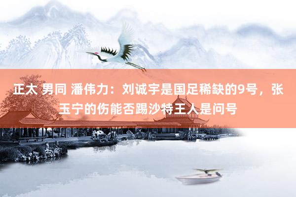 正太 男同 潘伟力：刘诚宇是国足稀缺的9号，张玉宁的伤能否踢沙特王人是问号
